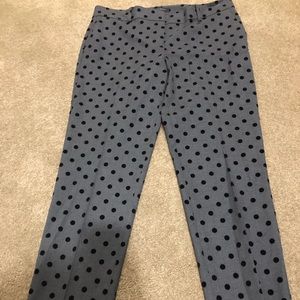 Ann Taylor Grey Polka Dot Pants
